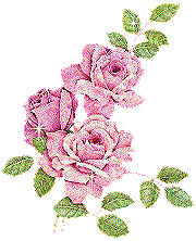 383205.gif
