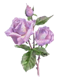 383215.gif