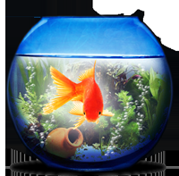 akvarium.png akvarium.png