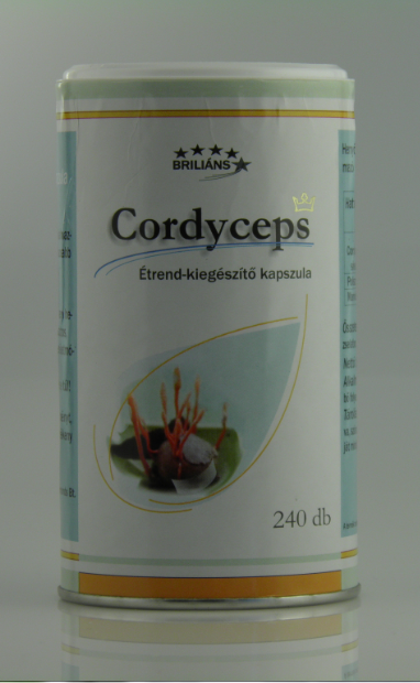 cordyceps.png
