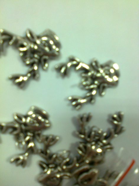 fenykep0010.jpg