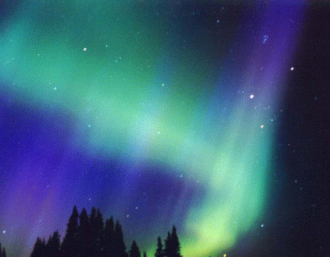 image004.gif